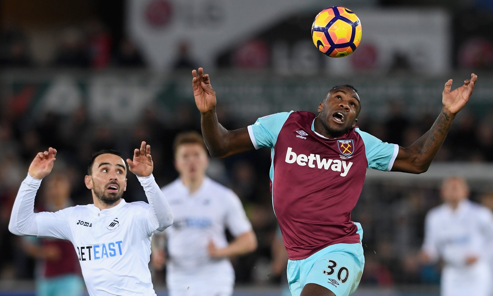 当基耶利尼 当基耶利尼